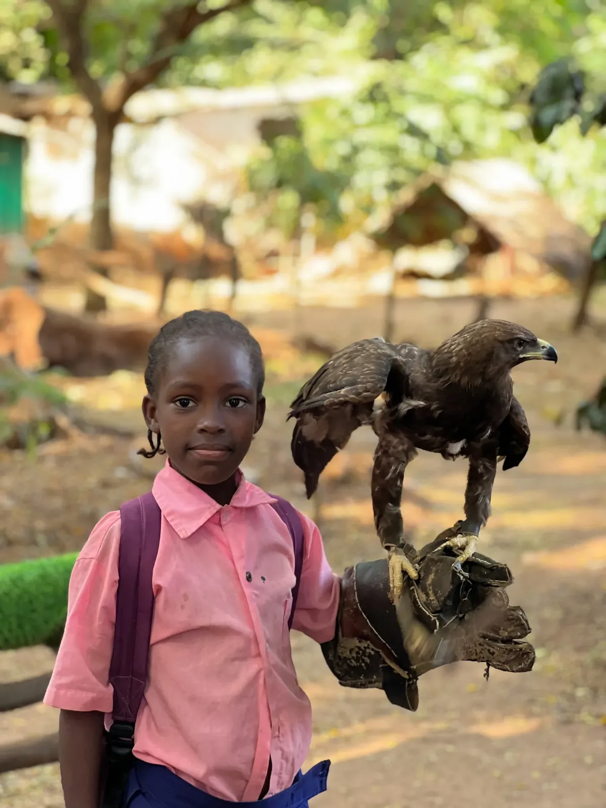 A student with an eagle at the park